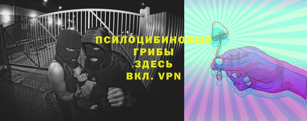 молекула духа Алзамай