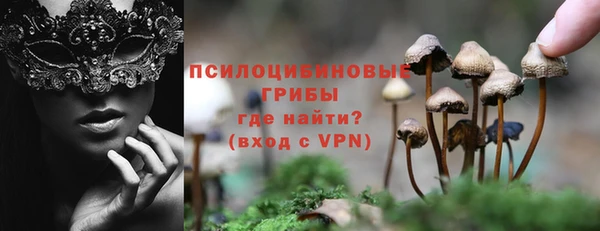 молекула духа Алзамай