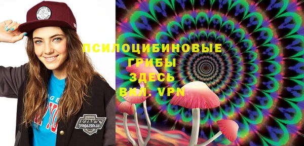 бутират Алексеевка
