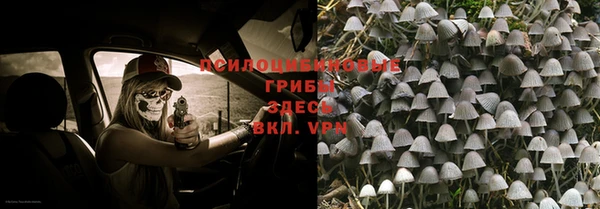 бутират Алексеевка