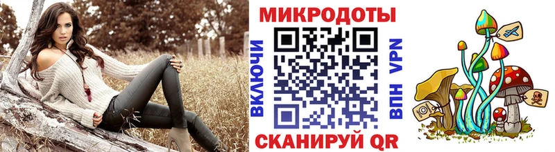 Псилоцибиновые грибы Psilocybe  где купить наркоту  Елец 